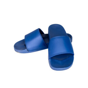 Blue Slides